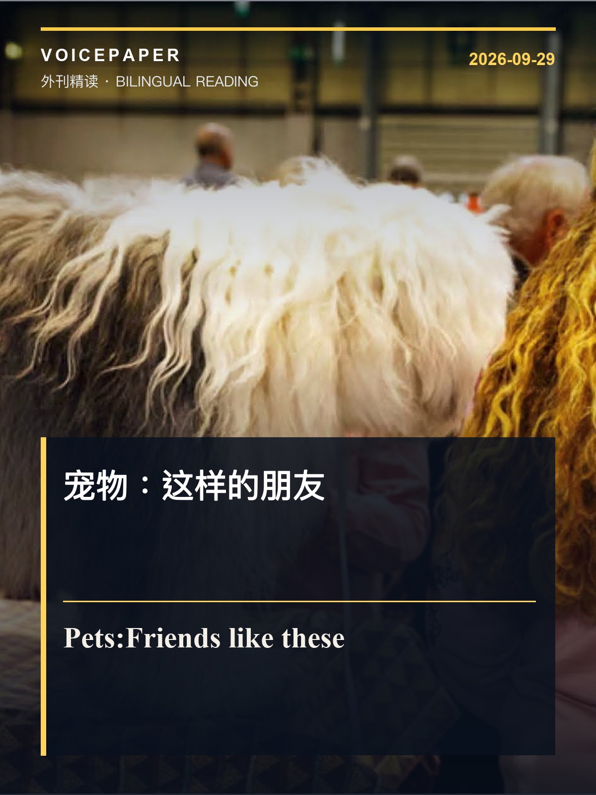 宠物：这样的朋友 外刊精读封面